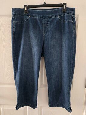 Women's Capri Jeans Dana Buchman pull on stretch SIZE L